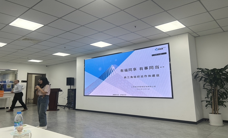 蘇納光電營銷LTC咨詢項(xiàng)目